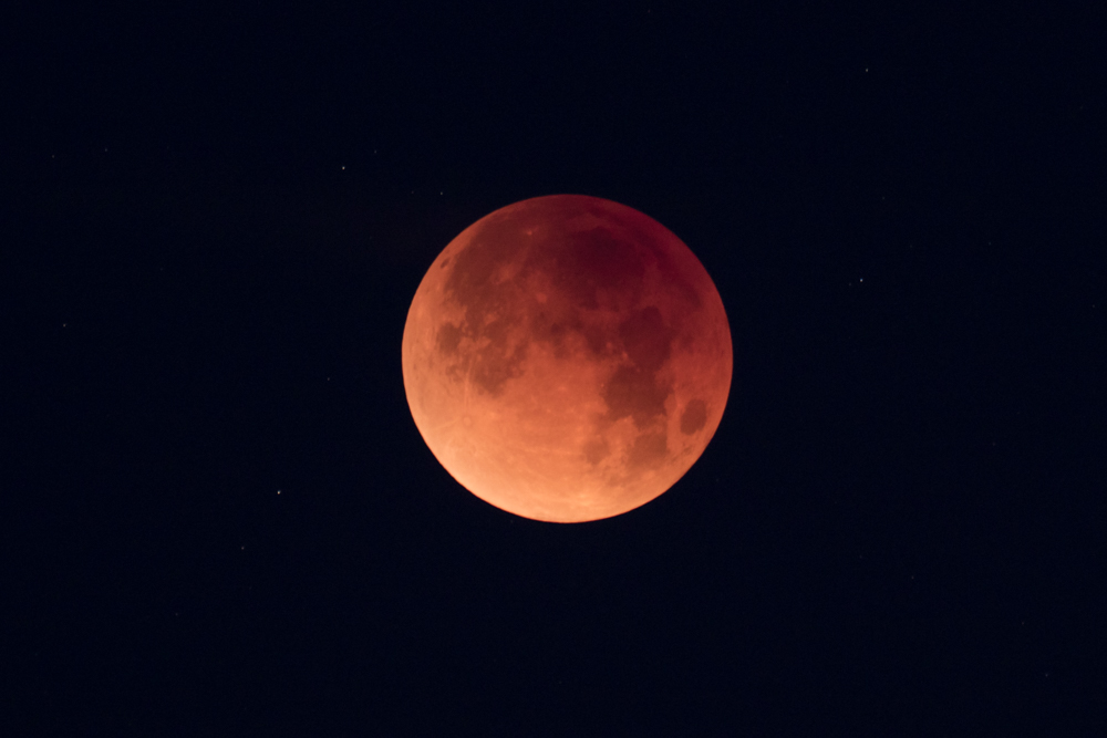 Total Lunar Eclipse Viewing Party | New Mexico Museum of Natural